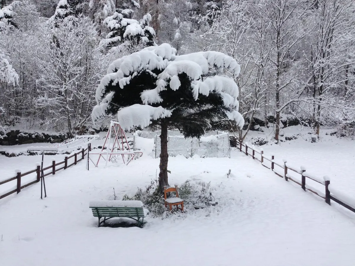 Il giardino dell'albergo sotto la neve, con l'abete, la panchina e l'altalena