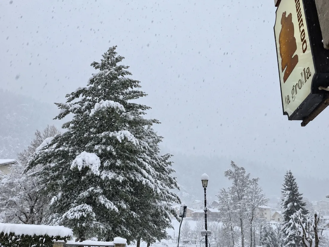 L'abete sotto la nevicata, con l'insegna della grolla sul bordo