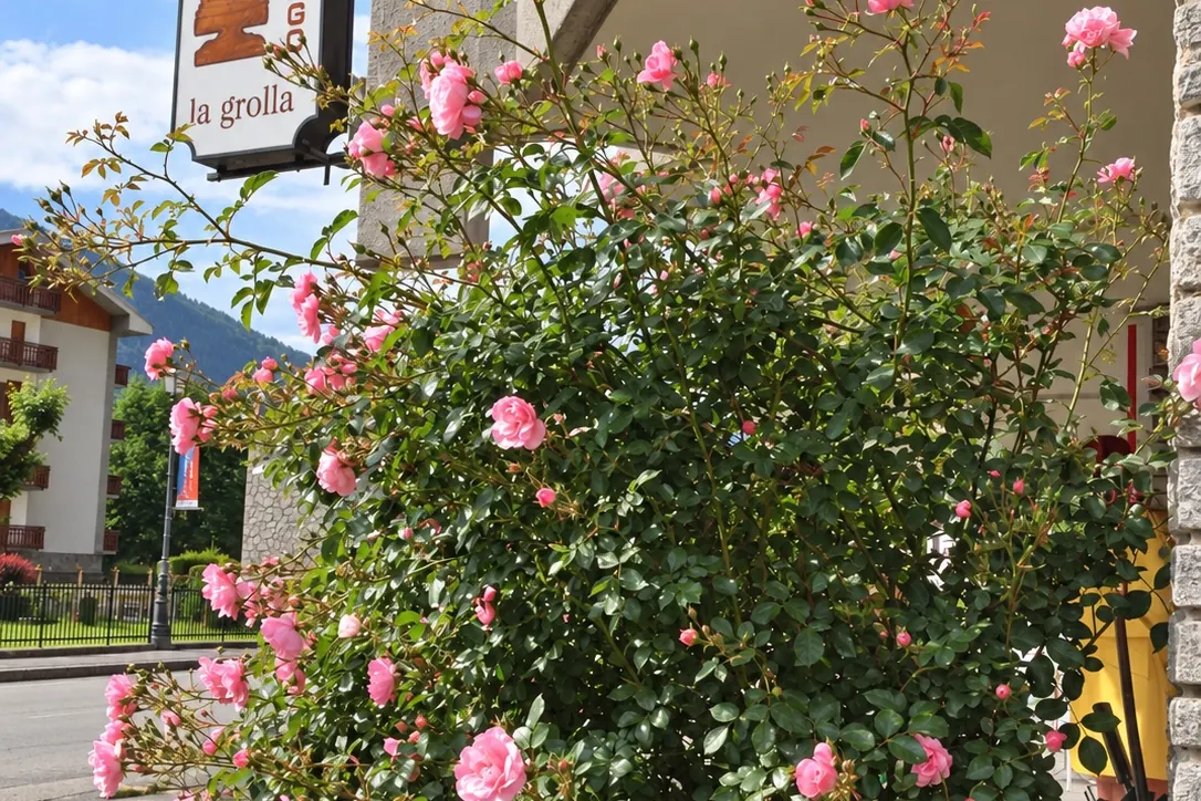 Le rose davanti all'albergo e l'insegna del bar